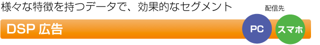 様々な特徴を持つデータで、効果的なセグメント DSP広告